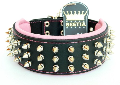 Real leather dog collar. 2.5 inch wide. soft padded. hand made in Europe!