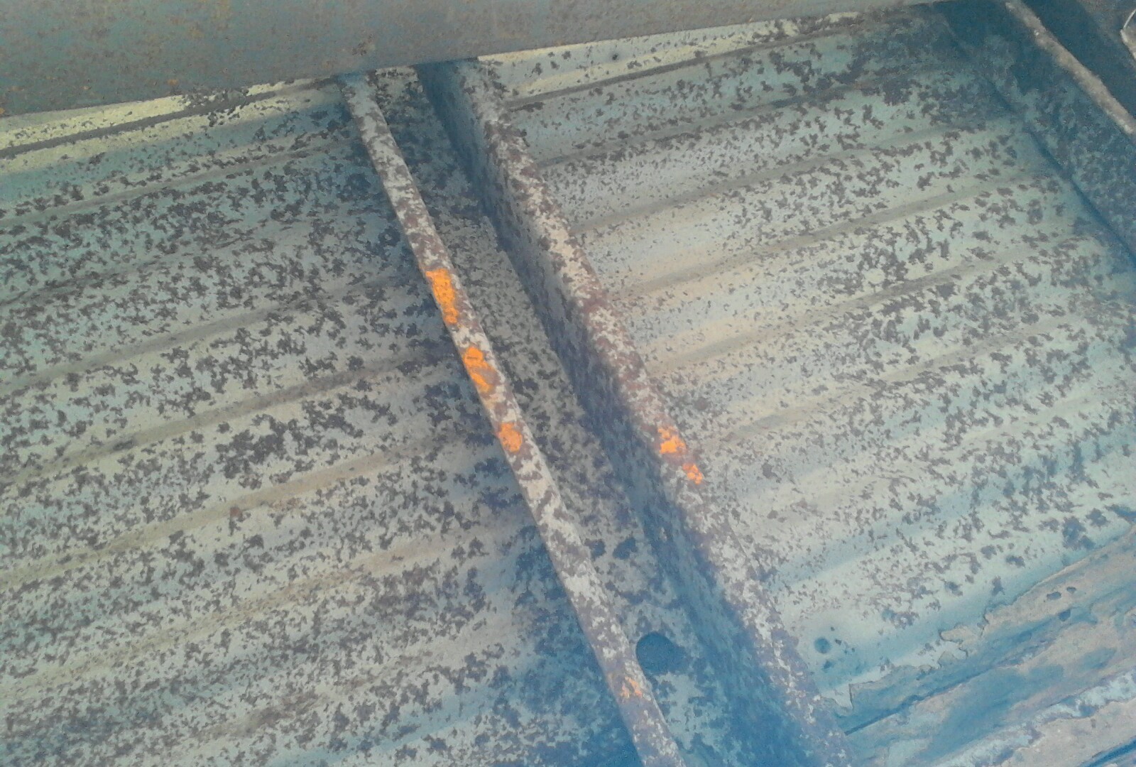 Bild 8 von 12