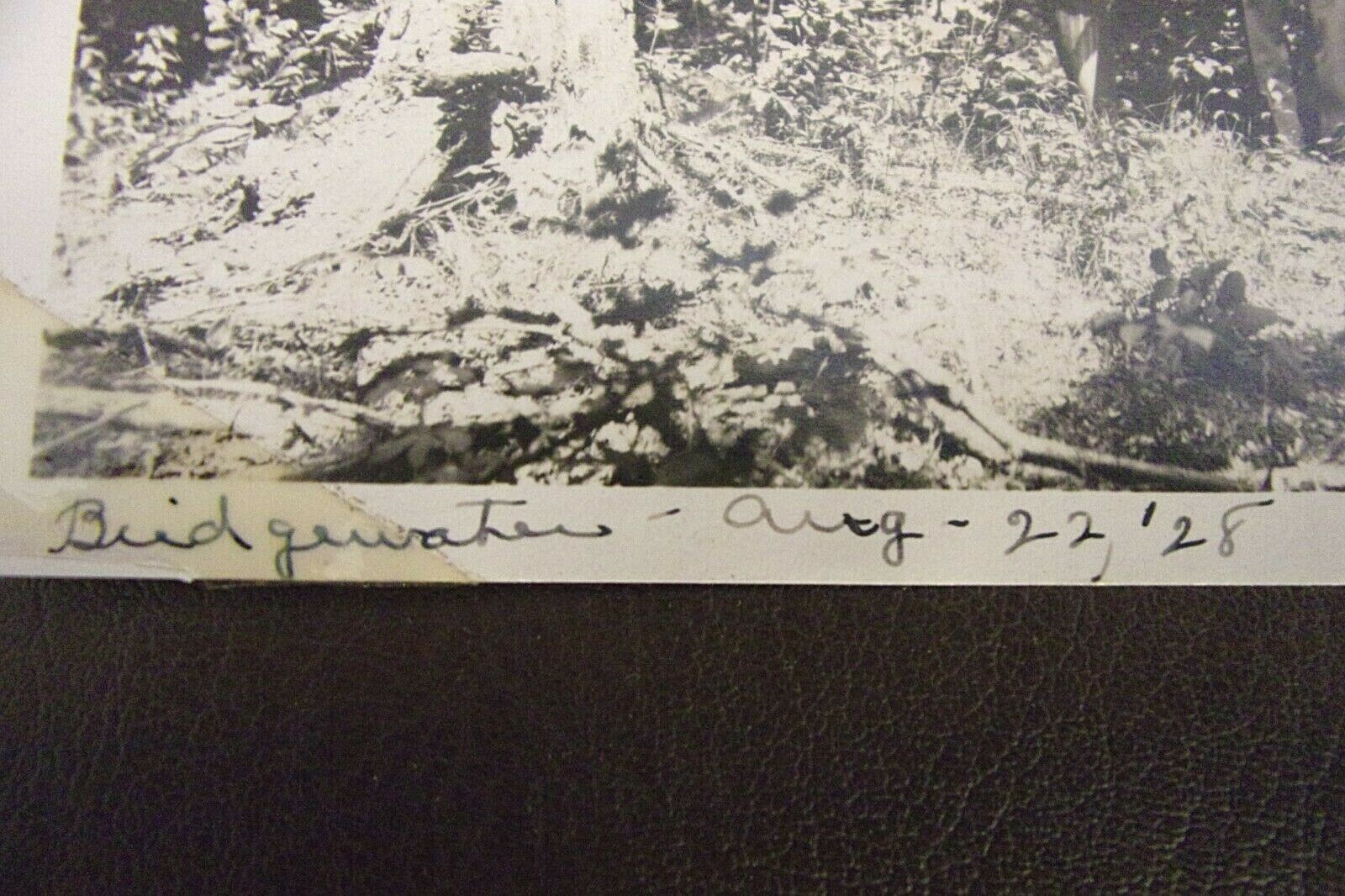 Picture 3 of 5