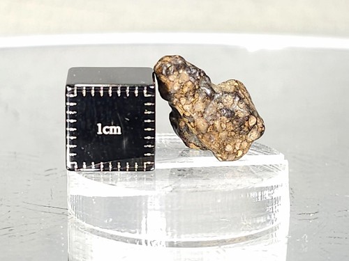 NWA 15553 CV3 1,27g Meteorite carboniosa ciottolo datato 4,5+ byo, basso TKW - Foto 7 di 8