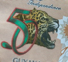 Commemorative 50 Years Anniversary Guyana 50 $ Banknote. Guyanese Paper Money