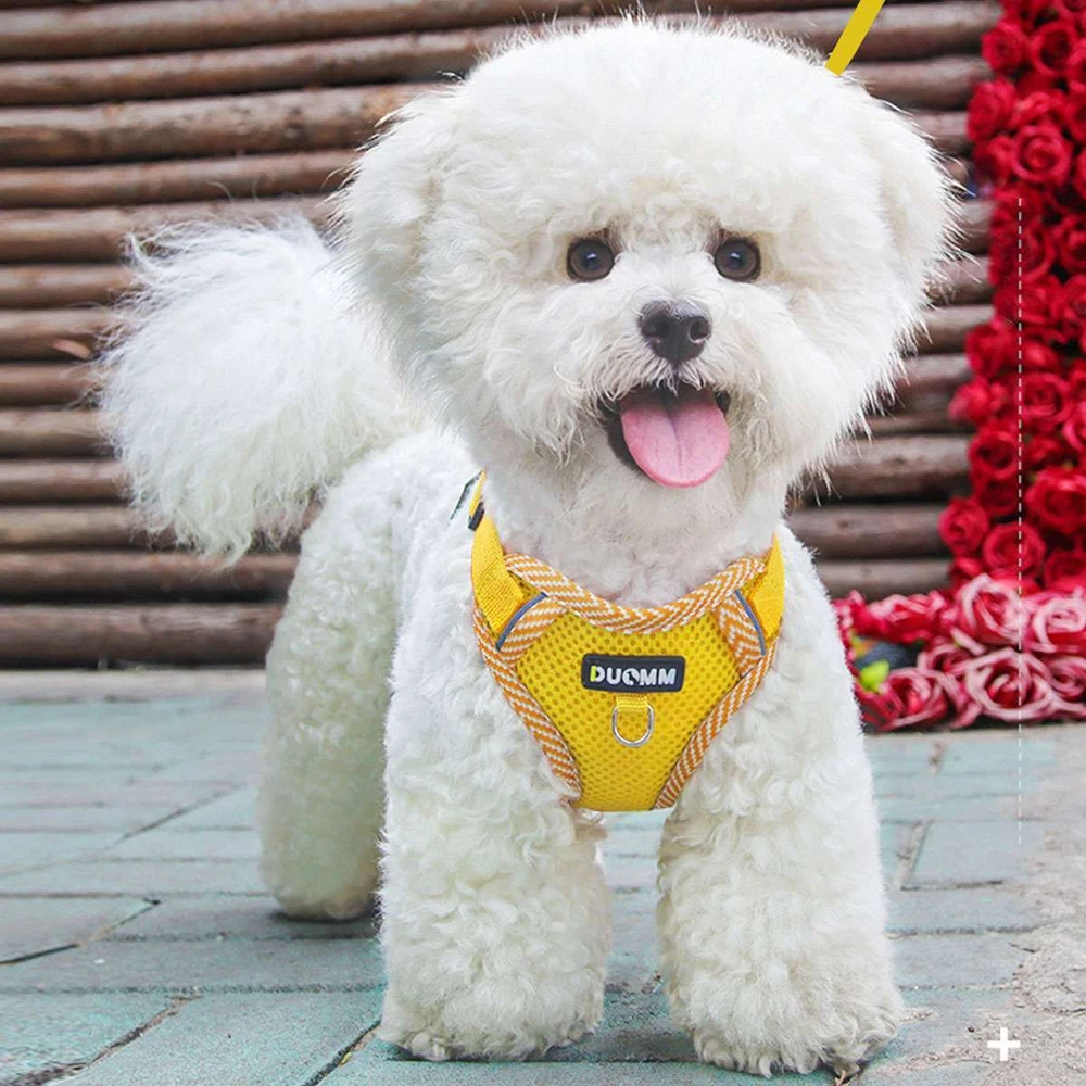 Dog Harness for Small Dogs Adjustable Puppy Cat Harness Vest Pet Outdoor Walking
