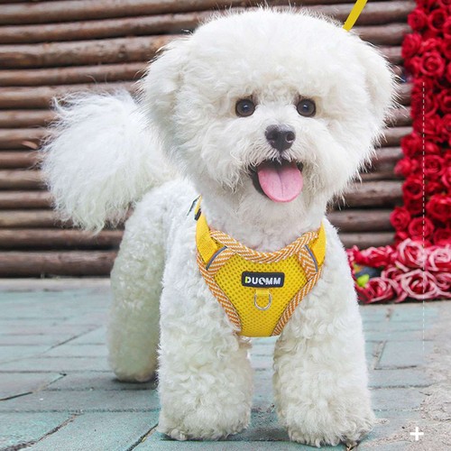 Dog Harness for Small Dogs Adjustable Puppy Cat Harness Vest Pet Outdoor Walking - Picture 12 of 16