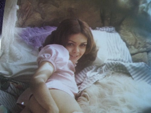 Penthouse May 1973,V4#9 GEORGE C.SCOTT,JENSEN INTERCEPTOR 3 CAR,SANDI GRECO-PET. - Picture 6 of 9