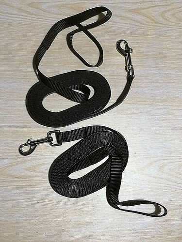 16ft pair LONG LINE, lunge, set of 2 LONG REINS 4.85m Web training aid 20mm wide - Picture 17 of 54