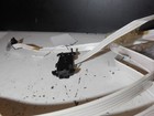 Foto 5 di 13