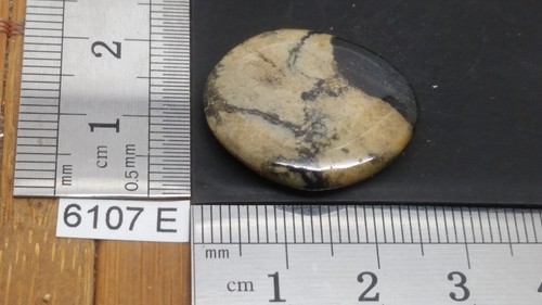 JASPE FEUILLE D'ARGENT pierre plate mineraux lithotherapie soin reiki collection - Picture 2 of 2