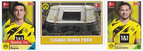73 x Borussia Dortmund verschiedene Sammelbilder, Panini, Topps u.a. - Bild 16 von 24