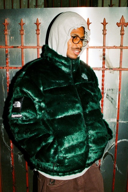 Supreme X The North Face Tnf Snakeskin Pants Size L For Sale Online Ebay