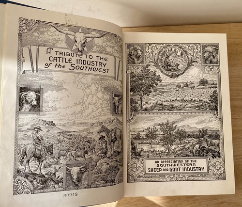 Historical Encyclopedia of New Mexico in 2 Volumes 1945 EA Davis, Editor  Ex-Lib - Picture 4 of 12