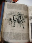 Foto 6 di 11