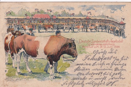 AK Frankfurt a/M, Dt.Landw.Ges. 13. Wanderausstellung 8.-13. Juni 1899