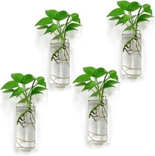 4 Pack Glass Wall Planters Indoor Hydroponic Propagation Station Vertical