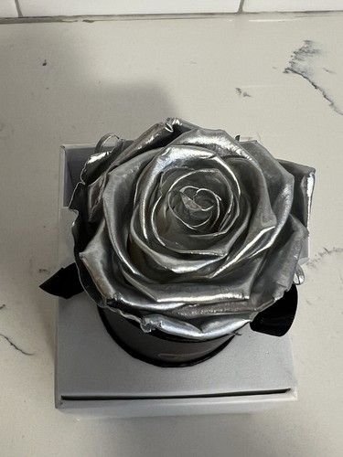 Venus et Fleur-Silver Classic Le Mini Round Real Rose Box Eternity Flower - Picture 5 of 8