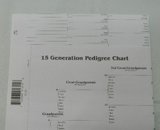 15 Generation Blank Pedigree Chart Genealogy Form Lot of 6