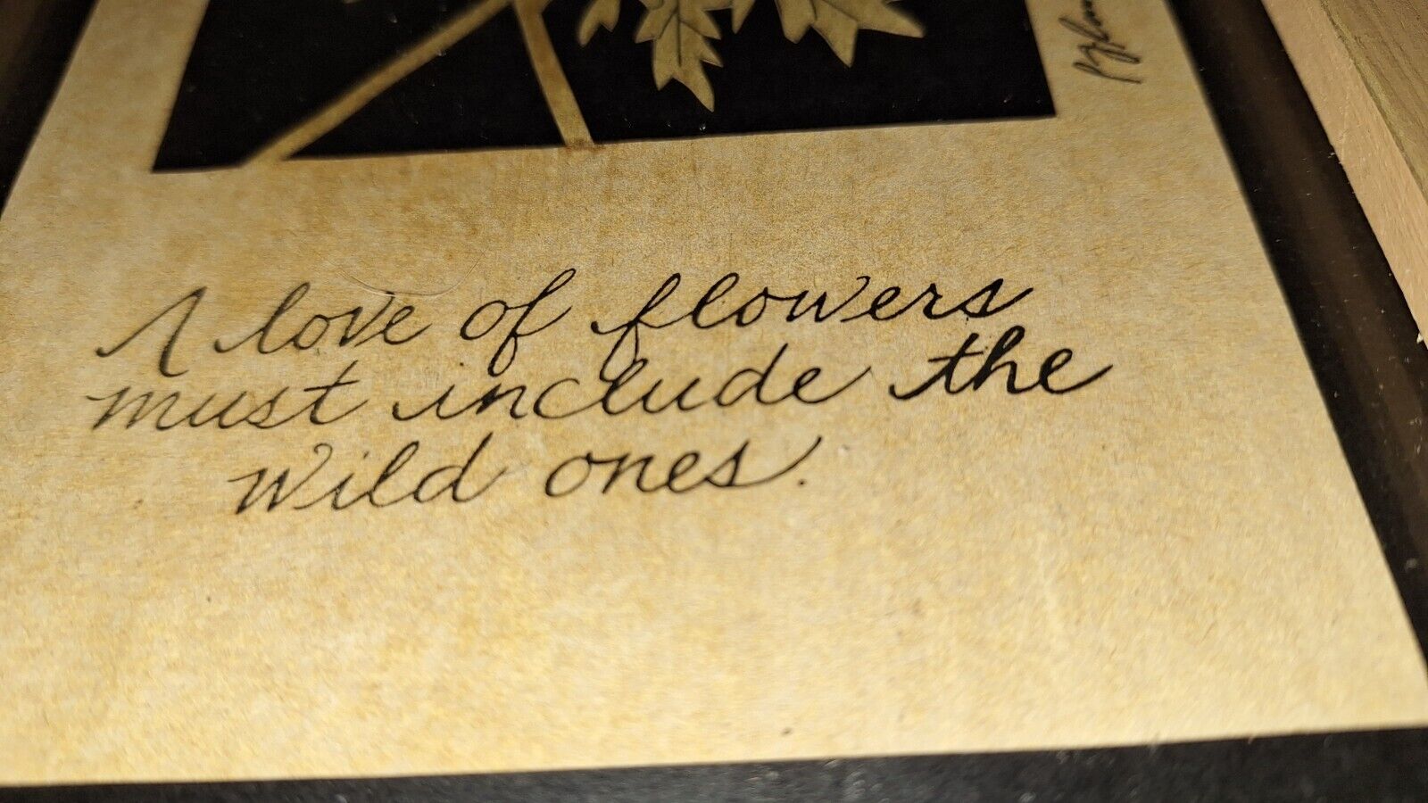 Picture 6 of 9