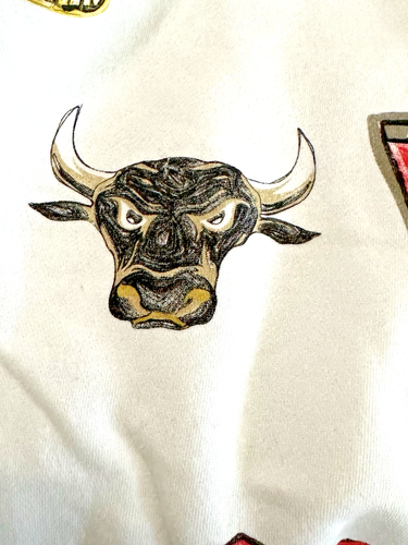 Air Jordan MJ Essentials Hoodie Jungen M (5/6) Pullover Bulls Championship Flight - Bild 9 von 9