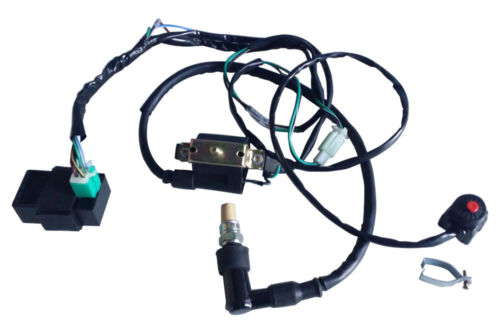 125cc Engine Motor For Chinese CRF50 CRF70 XR50 XR70 Apollo SSR RFZ Dirt Bike - Foto 11 di 12