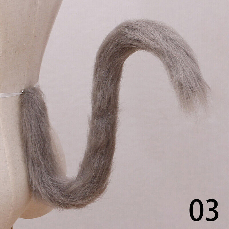 Foto 4 di 26