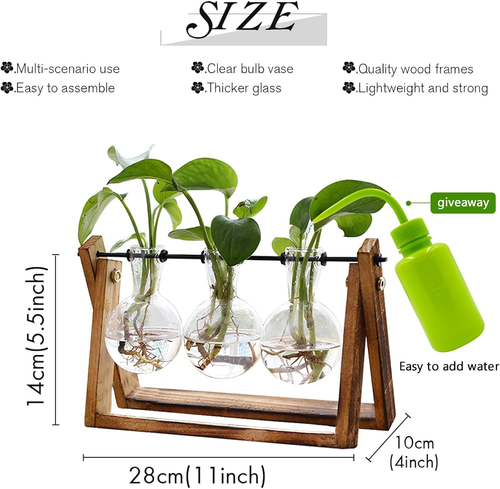 Retro Plant Terrarium with Wooden Stand - 3 Bulb Glass Vase for Home Decor - Picture 2 of 12