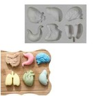 Silicone Mold Anatomy Silicone Mold - Realistic Organs 6 units