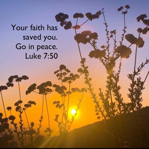 Free People FP Movement Round Off Banana Clip Brown NWT Logo Bohemian Bun Hair - Afbeelding 6 van 7