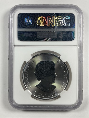 2016 Canada Silver $8 1.25oz Bison. NGC MS 69. F.R. - Picture 4 of 5
