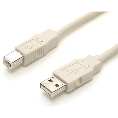 Cavo USB Startech - 1 x tipo A maschio - 1 x tipo B maschio - 6 piedi (usbfab_6) - Foto 2 di 2