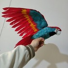 Picture 2 of 4