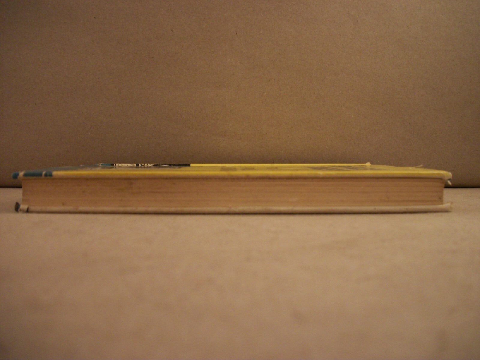 Picture 6 of 13