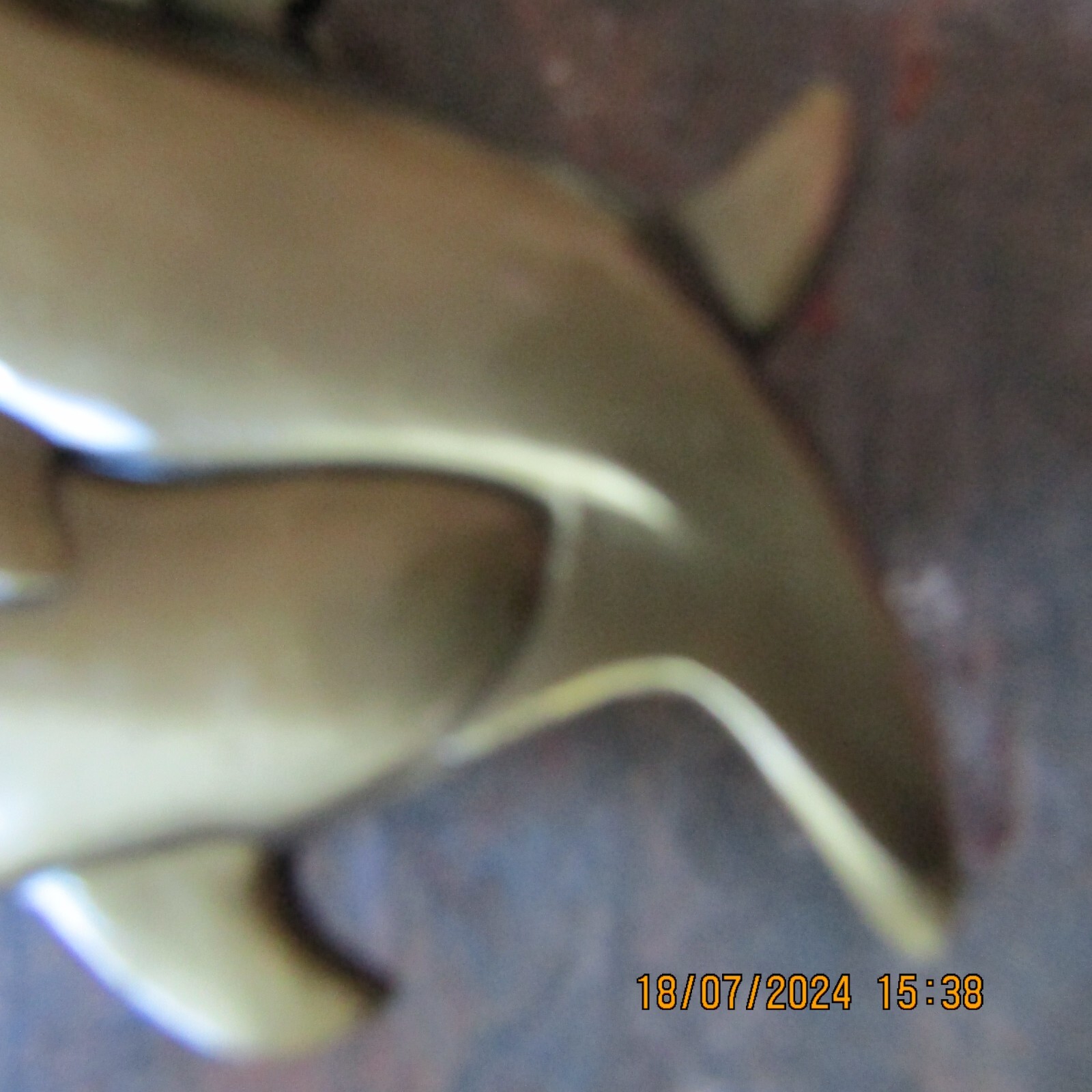 Picture 5 of 8