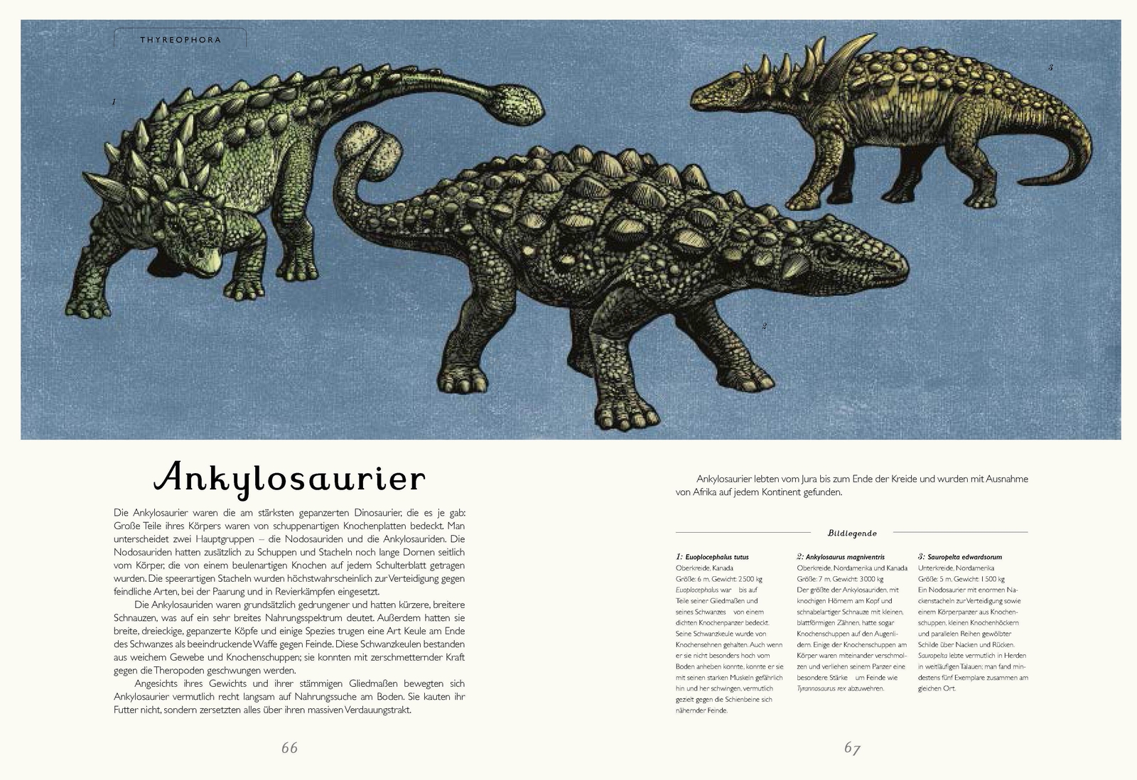 Thumbnail - Das Museum Der Dinosaurier | Eintritt Frei | Lily Murray (u. A.) |