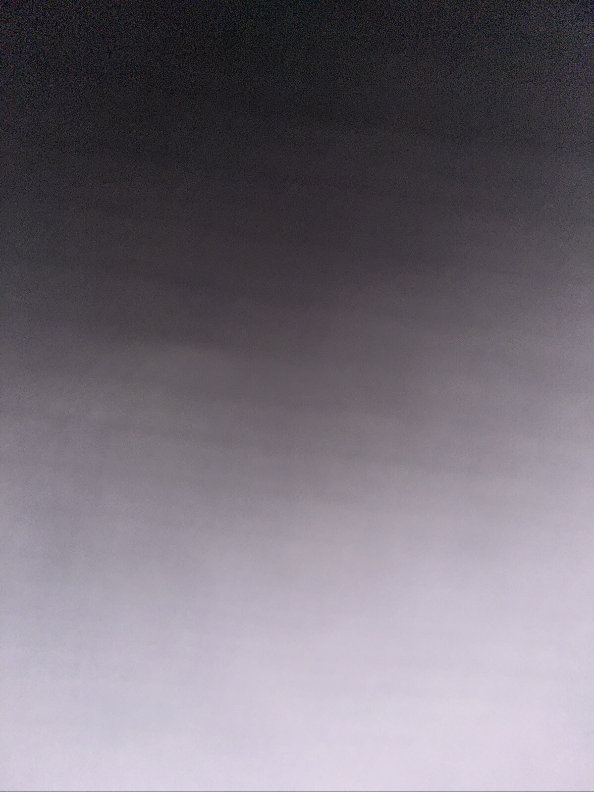 Picture 8 of 8