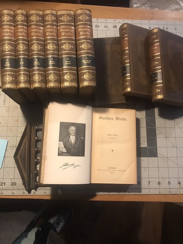 FINE BINDINGS Goethes Werke Complete Works In German 1902 Set Like Leather