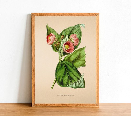 Vintage Flower Prints - Antique Posters - Botanical Wall Art Floral Gift Idea - Picture 2 of 51