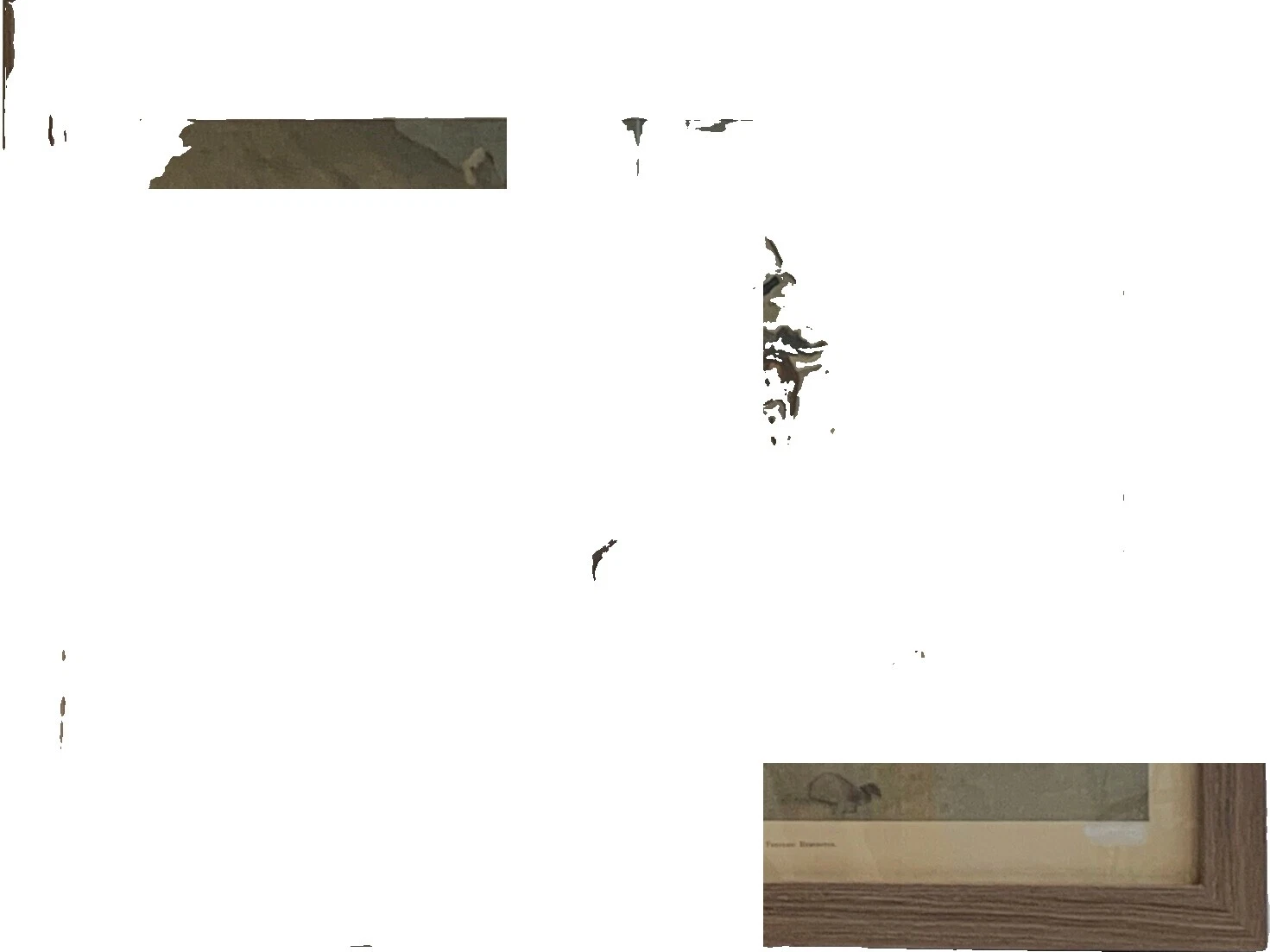 现实主义军事 Frederic Remington 艺术印刷品