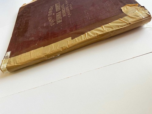 1894 Complete Antique Plat Book of Winona County Minnesota Atlas C.M. Foote & Co - Picture 2 of 13