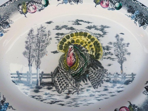 Vtg Ironstone Turkey Platter, Mid Century, NSP - Picture 2 of 6