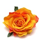 Bild 23 von 23