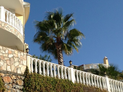 Immobilie / Villa in der Türkei Alanya-Yesilöz - Bild 5 von 19