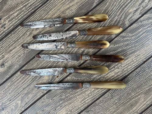 Berthon Brest coltello da dessert manico osseo con set di 6 collari argento - Foto 3 di 4
