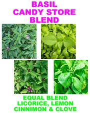 150 BASIL BLEND GOURMET SEEDS FRESH FOR GARDENS US SELLER SHIPS QUICK
