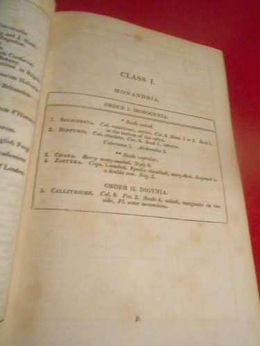 1820 Rare BRITISH BOTANY Galpine Linnean Society Ferns Flowers Names Growth Soil - Picture 4 of 6