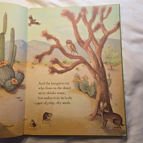 The Wonder Of The Seasons and Wonders of Nature Big Golden Books 1974 Hardcover - Bild 15 von 20