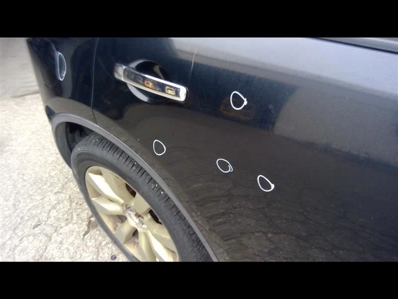 (LOCAL PICKUP ONLY) Passenger Right Rear Side Door Fits 03-05 INFINITI FX SERIES Foto 4 de 4