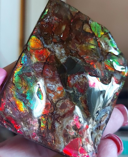 Ammolite Ammonite tabletop Display 69x54.5x16.5mm #13541 - Picture 2 of 5