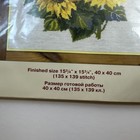 Foto 3 di 5