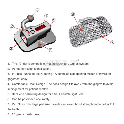 Dental Orthodontic Buccal Tubes 1st/2nd Molar Bondable Roth/MBT.018 .022 AZDENT  - Picture 29 of 48