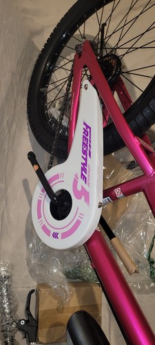 RoyalBaby 20" Pink Freestyle Bicycle with Dual Hand Brakes and Kickstand - Picture 18 of 18