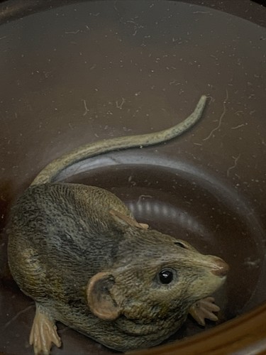 RARE Cold Painted Bronze Mouse in Bronze Bowl Exceptional - Picture 4 of 14
